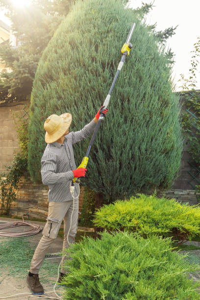 Lawn Watering Services in South Temple, PA